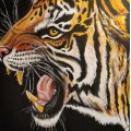 Asiakaskuva Venytetty kangas puuvilla/polyesteri 310g - F20 - 60 x 73 cm