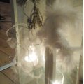 Asiakaskuva Marabou h�yhen 80 - 100 mm - valkoinen 2 g ~ 22 kpl.
