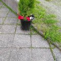 Asiakaskuva Spray maali Montana White 400ml - Musta