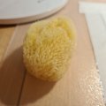 Asiakaskuva Vesiväri Luonnollinen sieni hienohuokoinen n. 5 cm