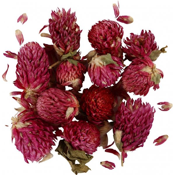 Kuivatut kukat - Puna-apila - 15 g