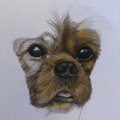 Asiakaskuva Copic Ciao - Blender "0"