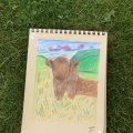 Asiakaskuva Värikynät Polychromos - 12 Pencils