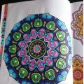 Asiakaskuva Fineliners Triplus 0,3 mm - 20 kynää