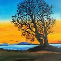 Asiakaskuva Fine Art ohennus 222 - 1000 ml