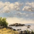 Asiakaskuva Vaahtomuoviharja 50 x 68 mm - k�sittelem�t�n