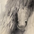 Asiakaskuva Vesiv�rimaalaus W&N Professional 5ml tuubissa - 465 Payne's gray