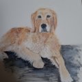 Asiakaskuva Puuvillakangas 380g - 50x60 cm