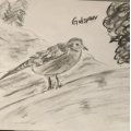 Asiakaskuva Charcoal Natural Faber - 5-8mm