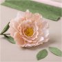 Mini DIY Kit Crepe Paper - Pioni