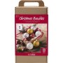 DIY Kit joulukuusenpallot - Glitter
