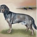 Asiakaskuva V�rikyn� Polychromos - 103 Ivory