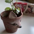 Asiakaskuva DAS Savi 1 kg Terrakotta