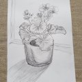 Asiakaskuva Toison D'or Pencil - 5B