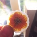 Asiakaskuva Malli Fimo Effect 57g - Helmi�inen