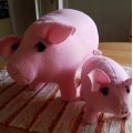 Asiakaskuva Fleece ilman nukkaa Pinkki - 150 cm