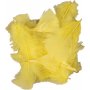 Untuva - keltainen - 50 g
