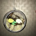 Asiakaskuva Valkoinen sammal (j�k�l�) - luonnollinen 50 g
