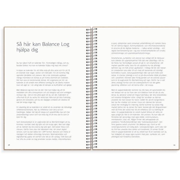 Tasapainoloki Tasapainoloki