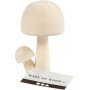 Puiset sienet - L5,5 cm - K8,5 cm