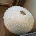 Asiakaskuva Koristeh�yhen 50-100 mm - vanilja 10 g ~ 110 kpl