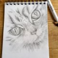 Asiakaskuva Lyijykyn� Faber-Castell 9000 - 2H