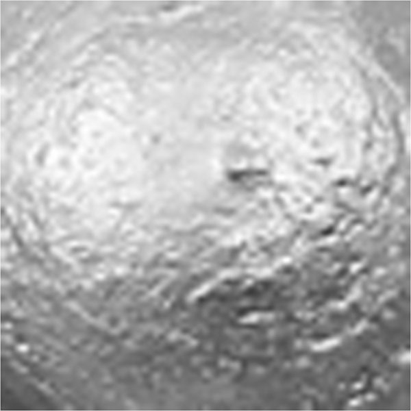 Koulumaali Akryyli - Metalli - hopea - metalli - 500 ml