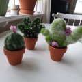 Asiakaskuva Terrakottaruukut 5 cm - 10 kpl
