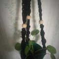 Asiakaskuva Puisia palloja 50 kpl �30 mm