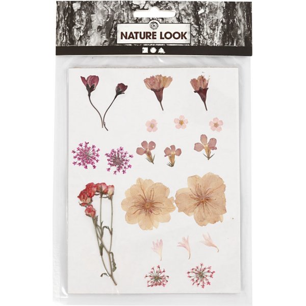 Kuivatut kukat ja lehdet - vaaleanpunainen