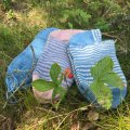Asiakaskuva Alegria 100g - Wedgwood