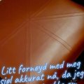 Asiakaskuva Verhoilukangas Vinyyli / keinonahka Burgundy - 140 cm