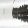 Lahjanauha - metallihopea - kiiltv - 250 m