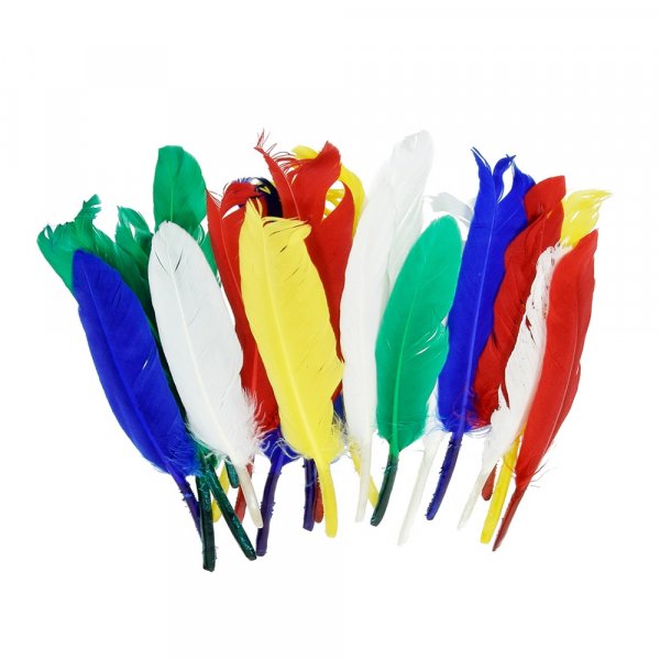 Intialaiset hyhenet 12 - 15 cm - useita vrej sekoitettuna 20 kpl