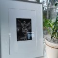 Asiakaskuva Täydellinen linosetti - 23 osaa