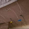 Asiakaskuva Py�re� vahattu puuvilla � 1 mm / 6 m - kerma