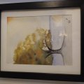 Asiakaskuva Akvarellilohko Liimattu Kylm�puristetut Kaaret 300g - 23x31 cm