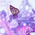 Asiakaskuva Ruiskumaali Liquitex - 5151 kadmiuminpunainen keskis�vy 5