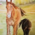 Asiakaskuva Akvarellilohko Liimattu Karkea lehto Kaaret 300g - 26x36 cm