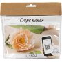 Mini DIY Kit Crepe Paper - Pioni
