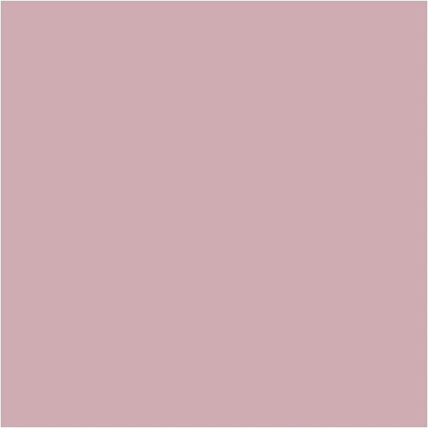Plus Color Hobby maali - p�lyinen ruusu - 60 ml