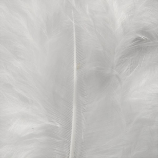 Untuva - valkoinen - 15 kpl Untuva - valkoinen - 15 kpl