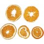 Appelsiiniviipaleet - 5 kpl