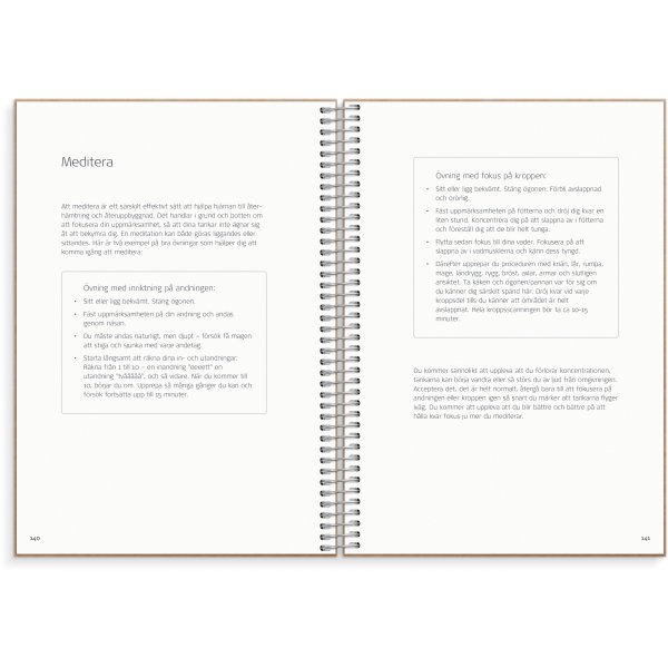 Tasapainoloki Tasapainoloki