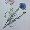 Asiakaskuva Akvarelli akvarellilohko 180 x 240 mm