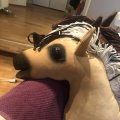 Asiakaskuva Polyesterisametti 150 cm - Kulta