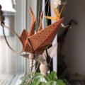 Asiakaskuva Puisia palloja 100 kpl �10 mm