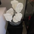 Asiakaskuva Amsterdam akryylimaali 120 ml - Sinkkivalkoinen