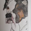 Asiakaskuva Vesiv�rilohko oik. - A3, 297 x 420 mm