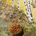 Asiakaskuva Vesiväri Luonnollinen sieni karkeahuokoinen n. 6 cm